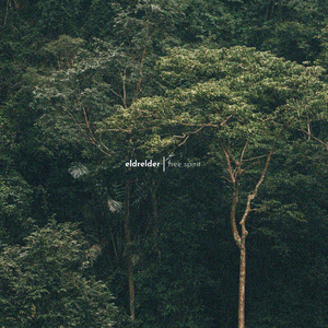 继攵女乱h客厅呻吟声视频
