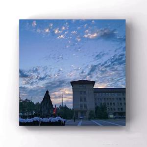 91香蕉视频app免费
