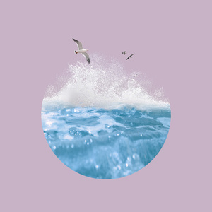 天堂视频免费在线观看
