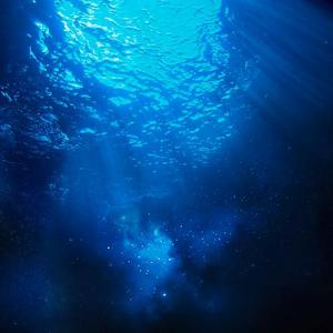 葉山さゆり无码影片
