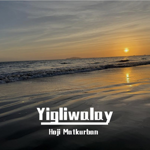 黑人巨大vs日本人优
