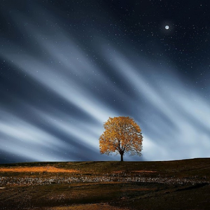 继攵女乱h客厅呻吟声视频
