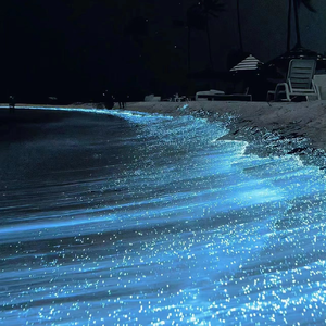 国产成人精品视频偷窥客
