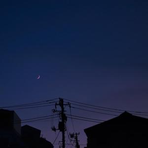 性爱自由业余摘花视频
