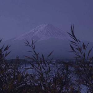 五十路老妇痴漢電車牲交
