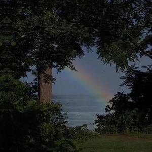 又粗又大性爱视频
