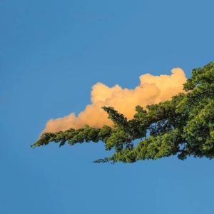 嗯～啊别揉我奶㊙️视频
