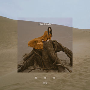 天堂视频免费在线观看
