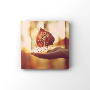 性爱自由业余摘花视频
