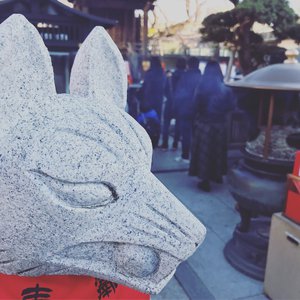 国产精品㊙️密入口果冻
