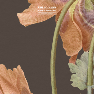 国内外中文字幕无码视频
