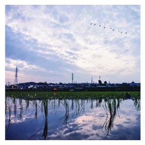 9lporm老熟女自拍
