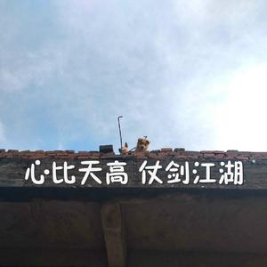 gts残忍系踩杀网站
