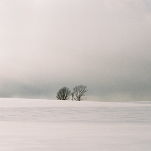 羞羞传媒精品久久XXXXX
